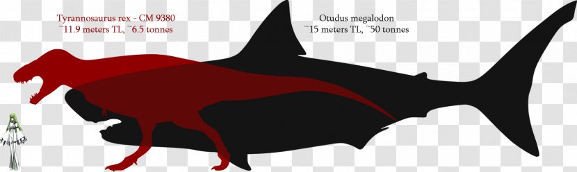 Great White Shark Megalodon Spinosaurus ARK: Survival Evolved - Mammal - Teeth Model Transparent PNG