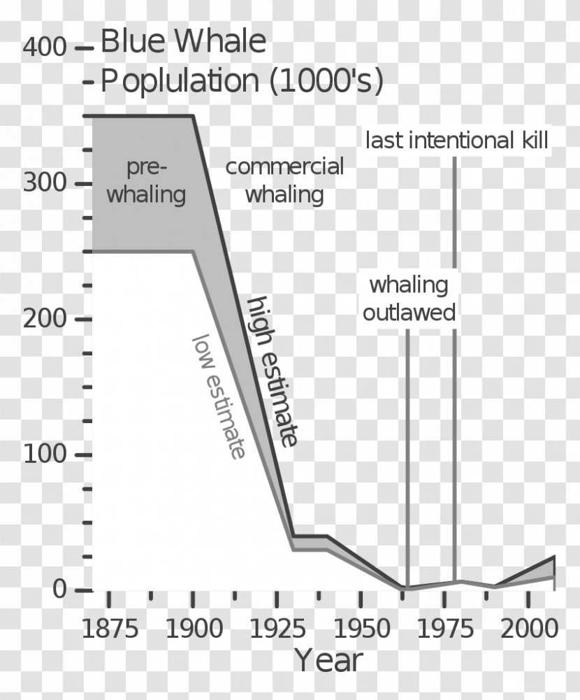 Blue Whale Bryde's Mammal Whaling Vocalization - Diagram Transparent PNG