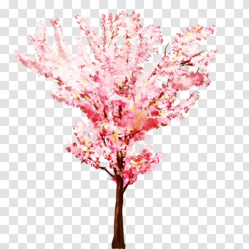Tree Branch Twig - Watercolor Painting - Cherry Blossom Transparent PNG