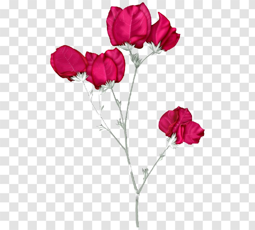 Garden Roses Pink Flowers Clip Art - Floral Design - Jo Transparent PNG