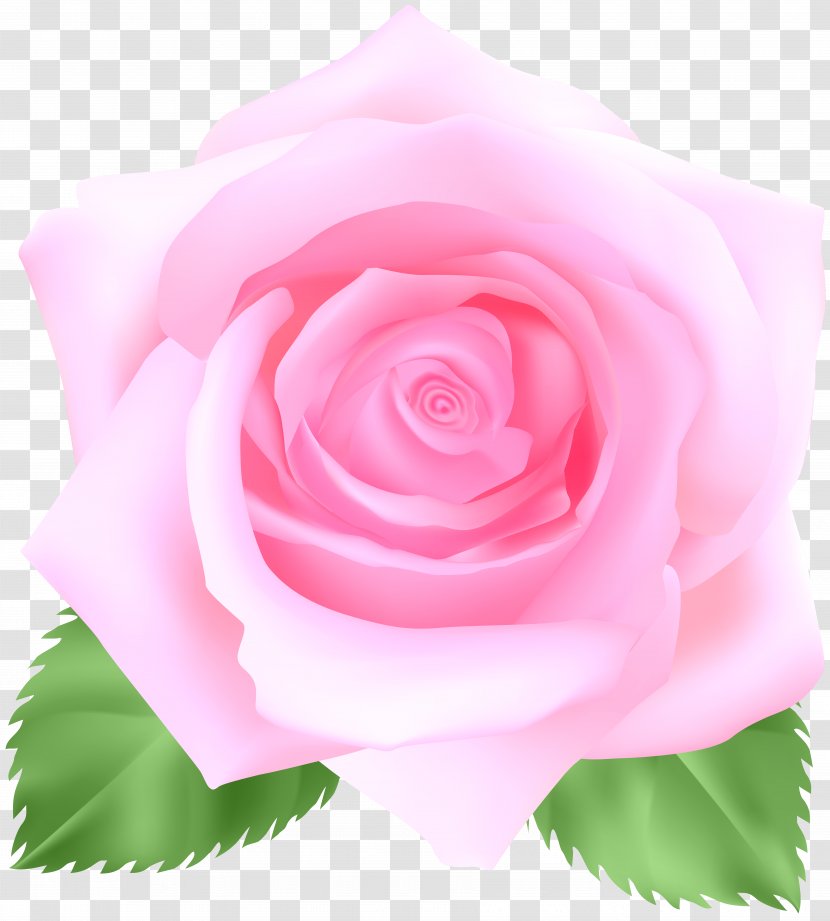 Image File Formats Lossless Compression - Flowering Plant - Pink Rose Clip Art Transparent PNG