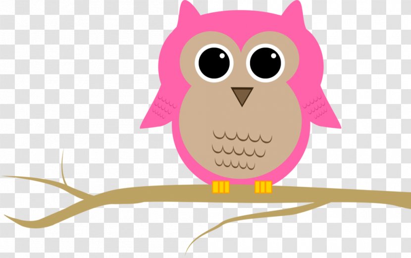 Bird Of Prey Vertebrate Beak - Pink - Creative Owl Transparent PNG