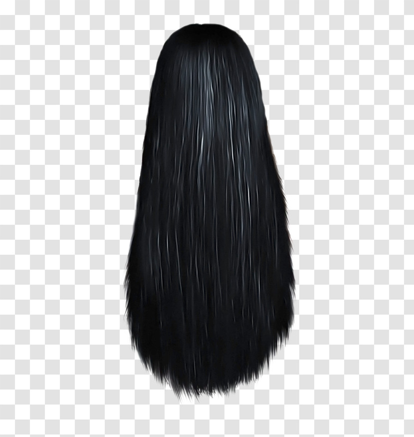 Hair Wig Black Hair Clothing Hairstyle Transparent PNG