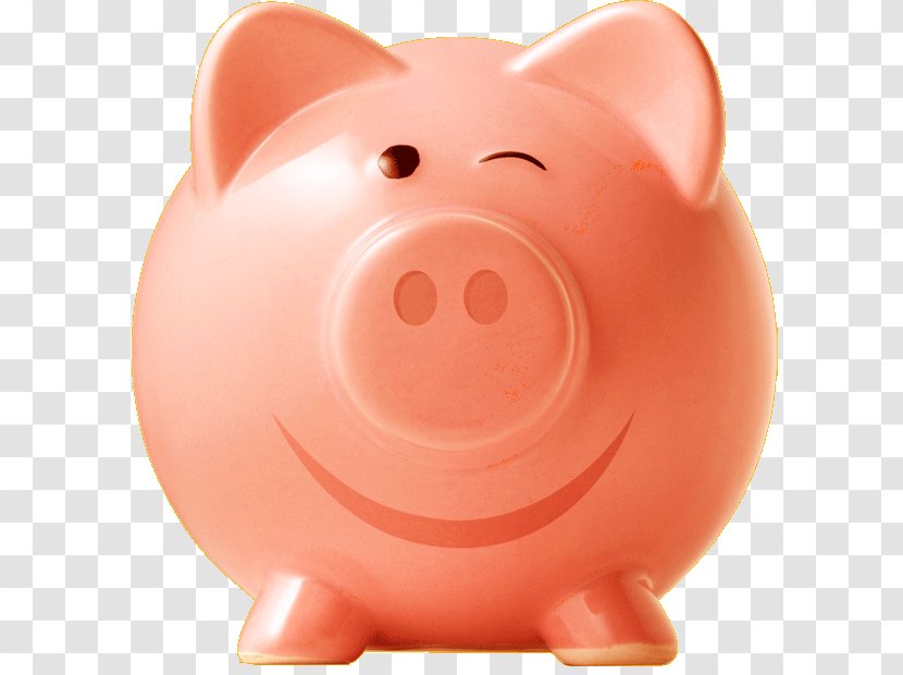 Small Business Piggy Bank Tax Domestic Pig - Fact Transparent PNG