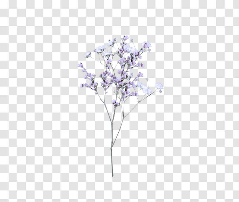 Tree Lilac Branch Plant Leaf Transparent PNG