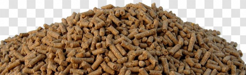 Horse Equine Nutrition Animal Feed Fodder Pelletizing - Commodity - Cattle Transparent PNG