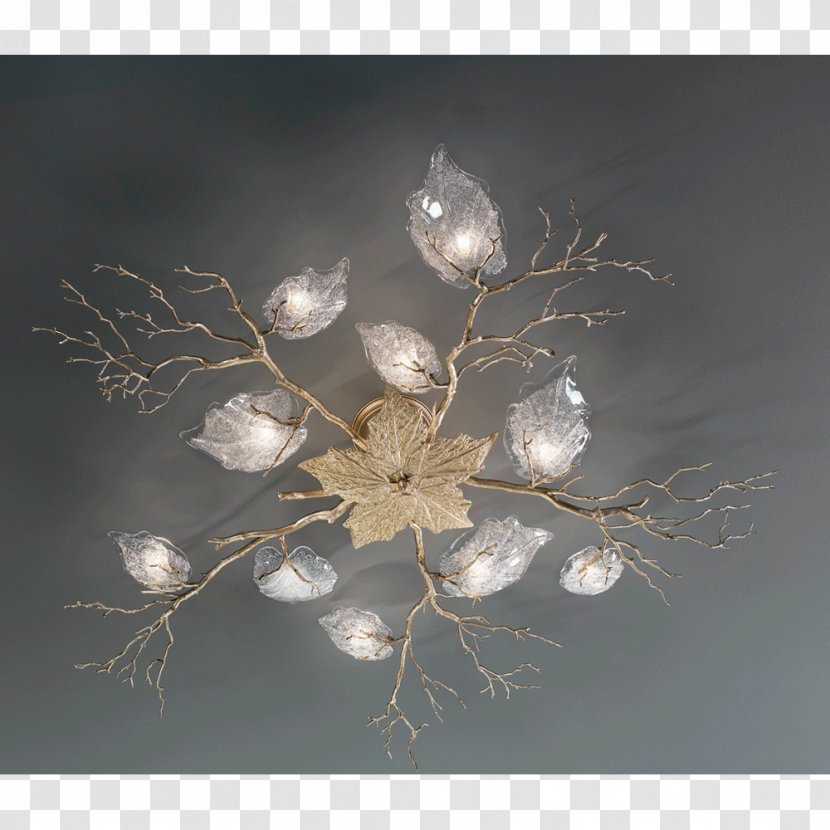 Light Fixture Light-emitting Diode Lamp Lighting - Twig - Color Collection Coral Transparent PNG