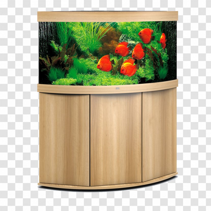 Aquarium Light-emitting Diode LED Lamp Lighting - Light Transparent PNG