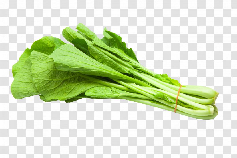 Vegetable Choy Sum Food Leaf Plant - Celtuce Chinese Cabbage Transparent PNG