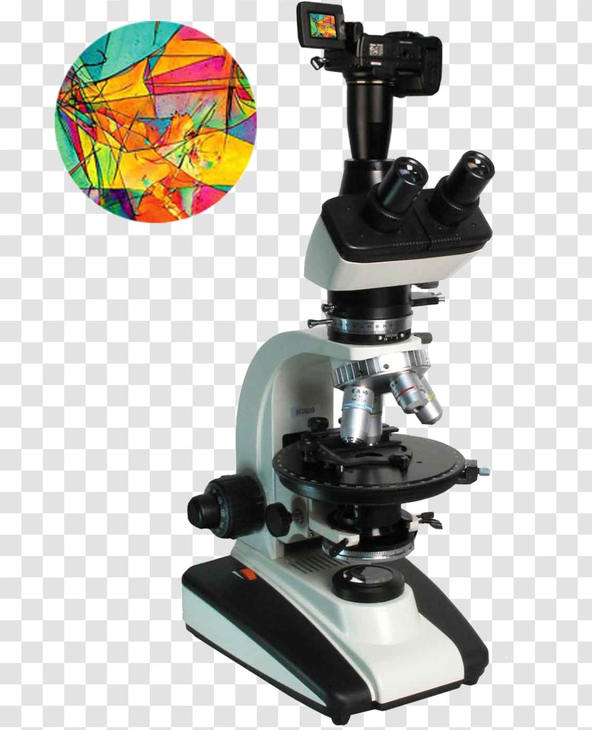 Microscope Light Polarizing Filter - Scientific Instrument - HD Transparent PNG