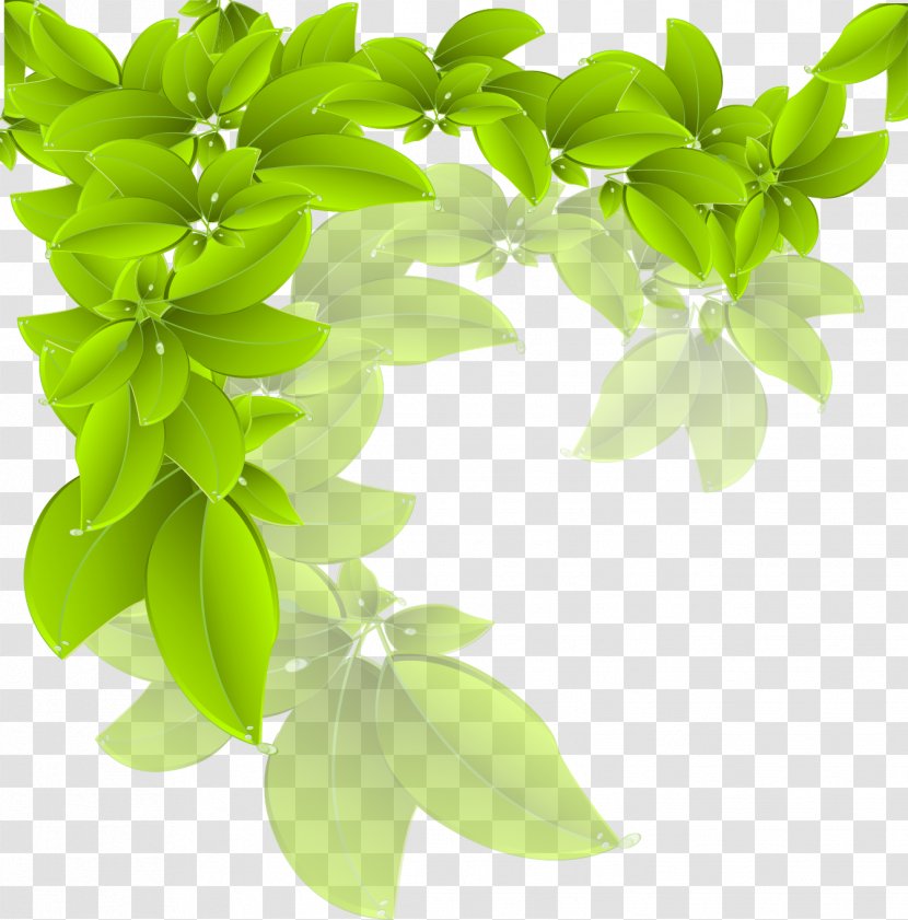Branch Green Leaf - Shutterstock - Vector Leaves Transparent PNG