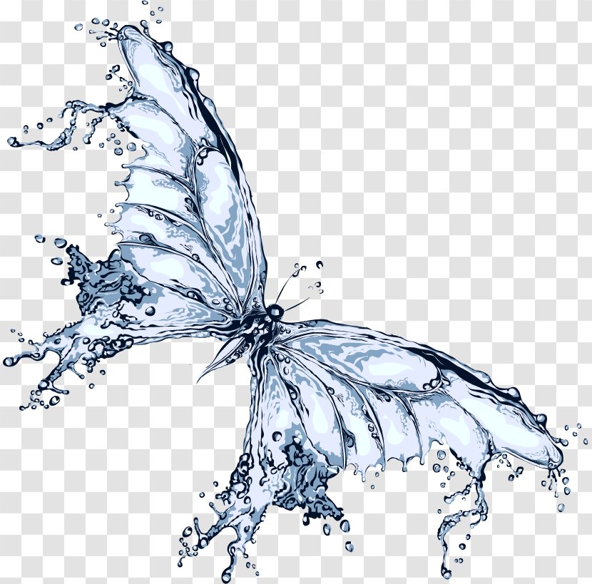 Butterfly Water Clip Art - Wing - Liquid Transparent PNG