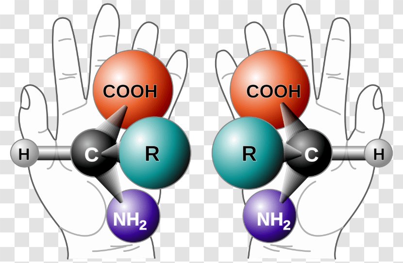 Chirality Stereocenter Mirror Image Molecule Chemistry - Longevity Transparent PNG
