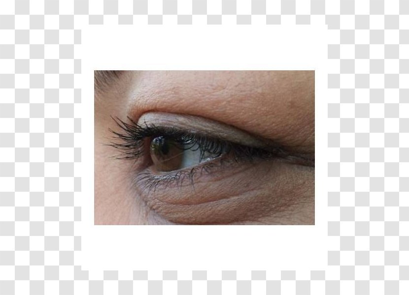 Eyelash Extensions Eye Liner Shadow Lip - Silhouette - Makro Transparent PNG