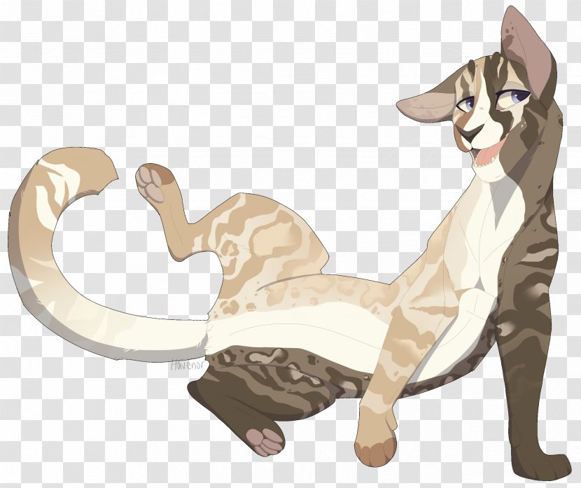 Whiskers Kitten Cat Dog Cartoon - Big - Oh Snap Transparent PNG