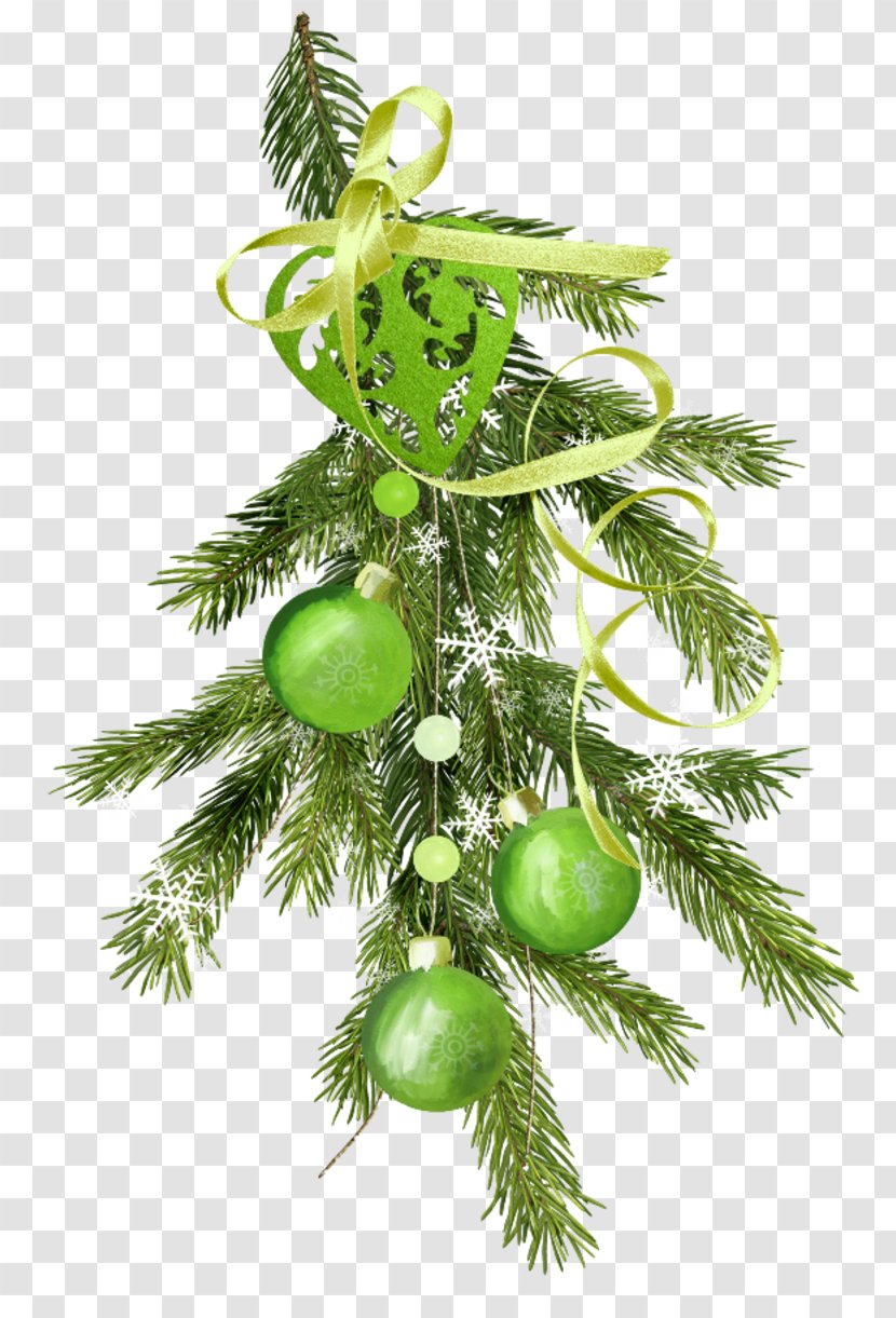 Christmas Ornament Spruce New Year Fir Transparent PNG