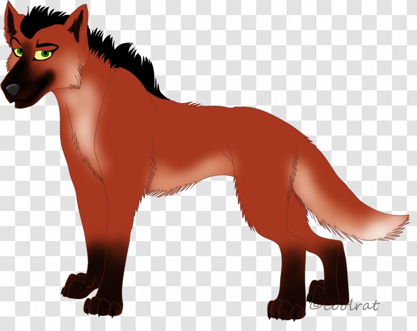 Dog Breed Red Fox Cat Snout - Tail Transparent PNG