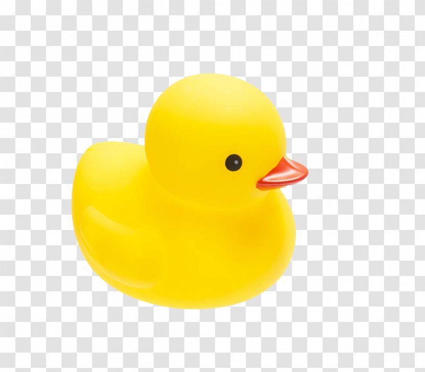 Little Yellow Duck Project Toy - Water Bird Transparent PNG