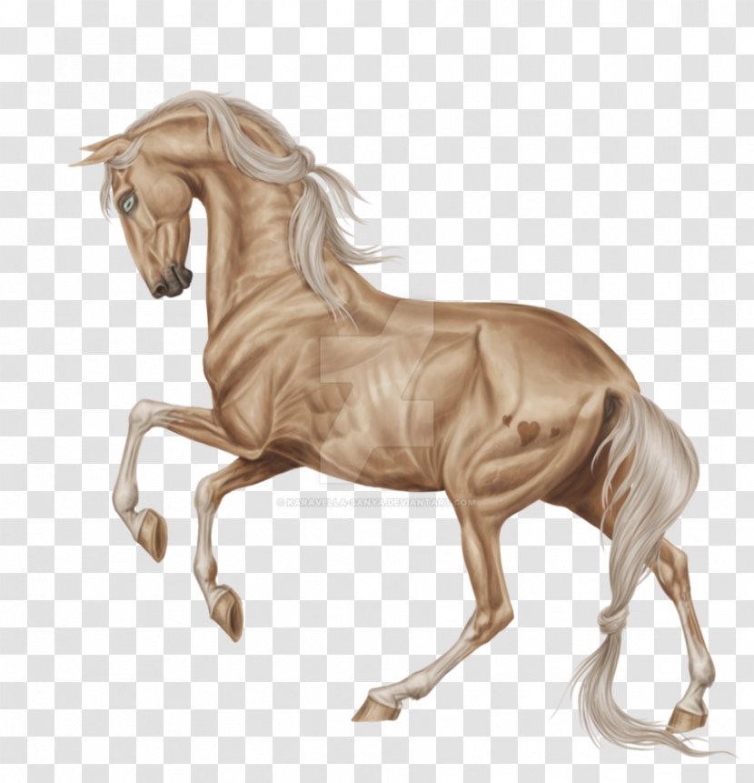 Stallion Hanoverian Horse Breyer Animal Creations Mustang Model - Supplies - Hainan Transparent PNG