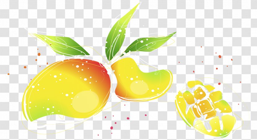 Superfood Wallpaper - Computer - Vector Hand Painted Watercolor Mango Illustration Transparent PNG
