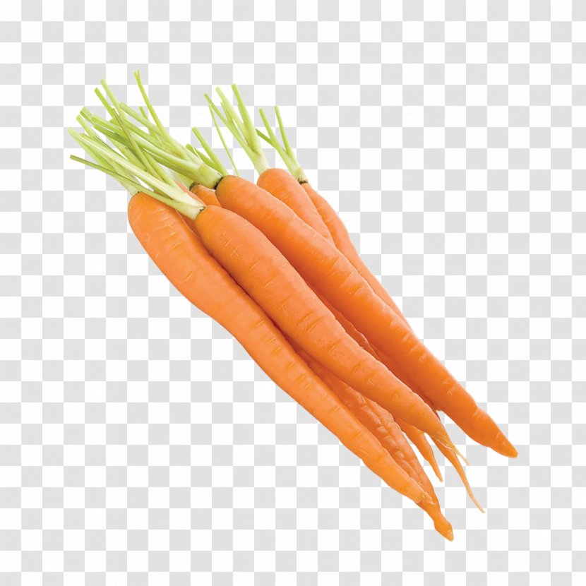 Baby Carrot Vegetable - Ingredient Transparent PNG
