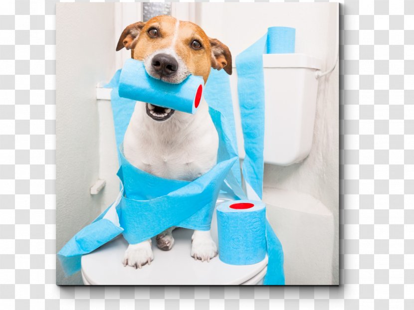 Dog Pet Sitting Puppy Diarrhea - Floss Transparent PNG