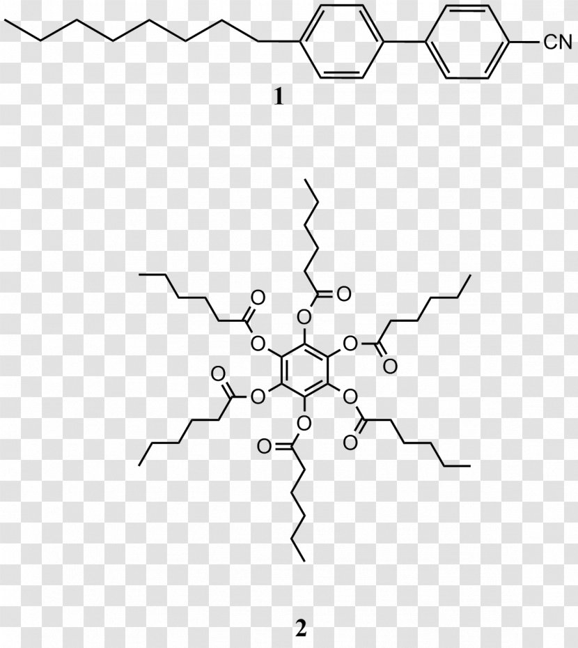 Drawing White Point Angle /m/02csf - Black And Transparent PNG