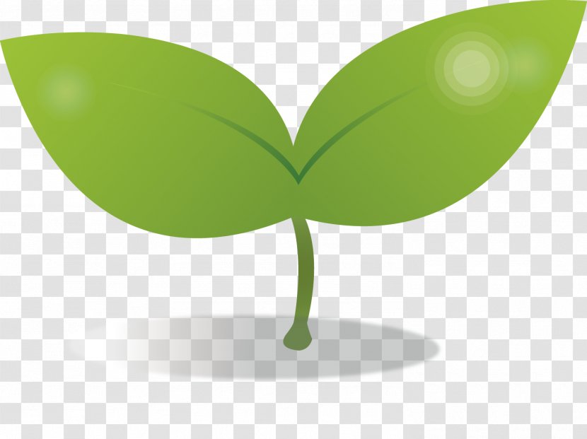 Leaf Plant - Green - Leaves Transparent PNG