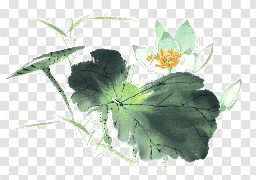 Nelumbo Nucifera Ink Wash Painting Download - Flora - Decorative Lotus Transparent PNG