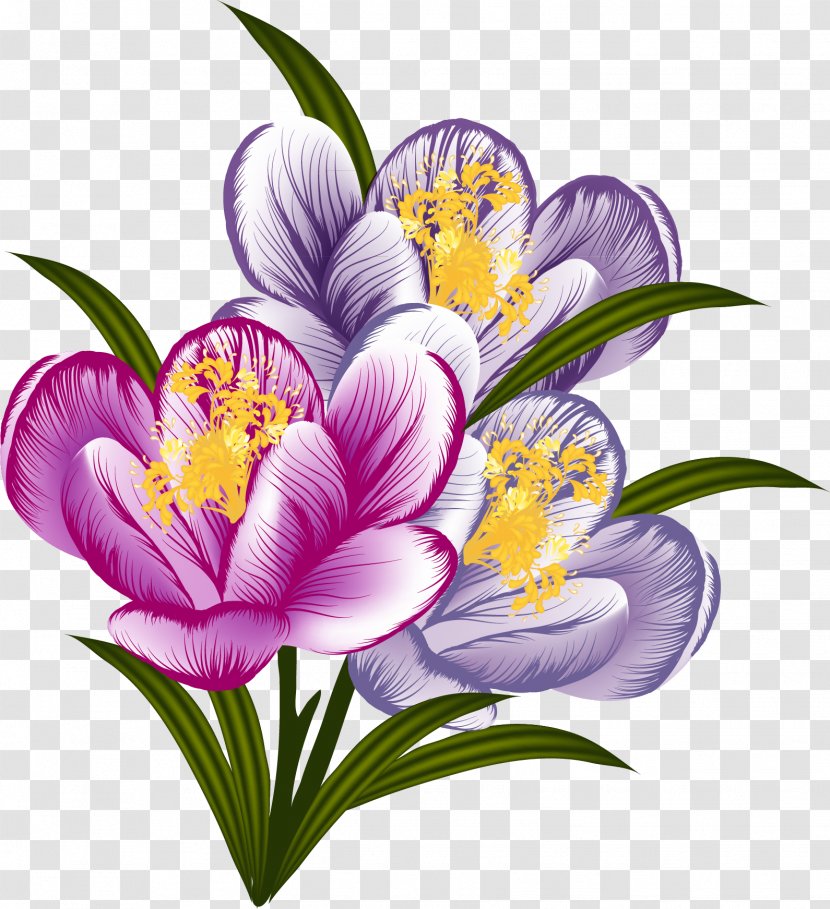 Crocus Flower Floral Design Clip Art - Herbaceous Plant Transparent PNG