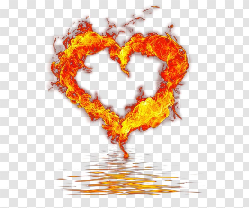 Heart Fire Flame Valentine's Day Instagram - Tree Transparent PNG
