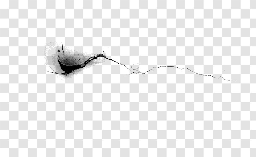 White Feather Beak Transparent PNG