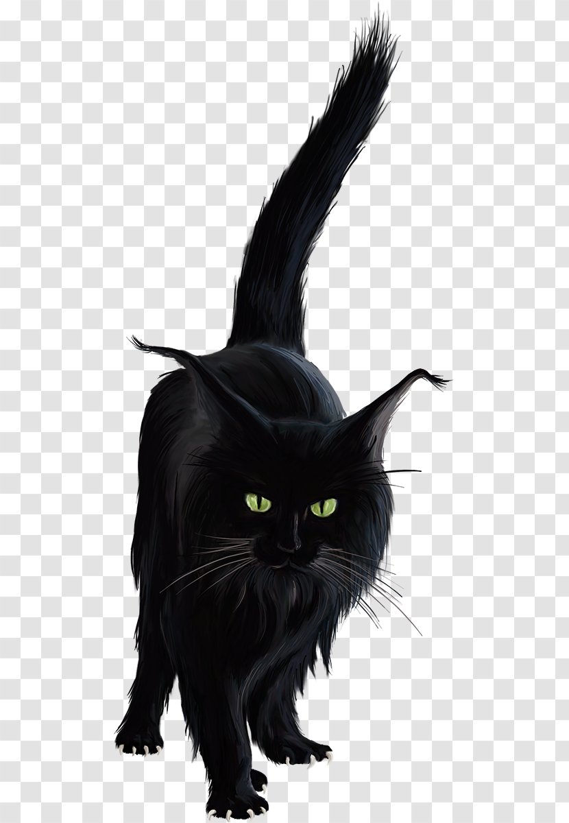 Bombay Cat Black Norwegian Forest Kitten Clip Art Transparent PNG