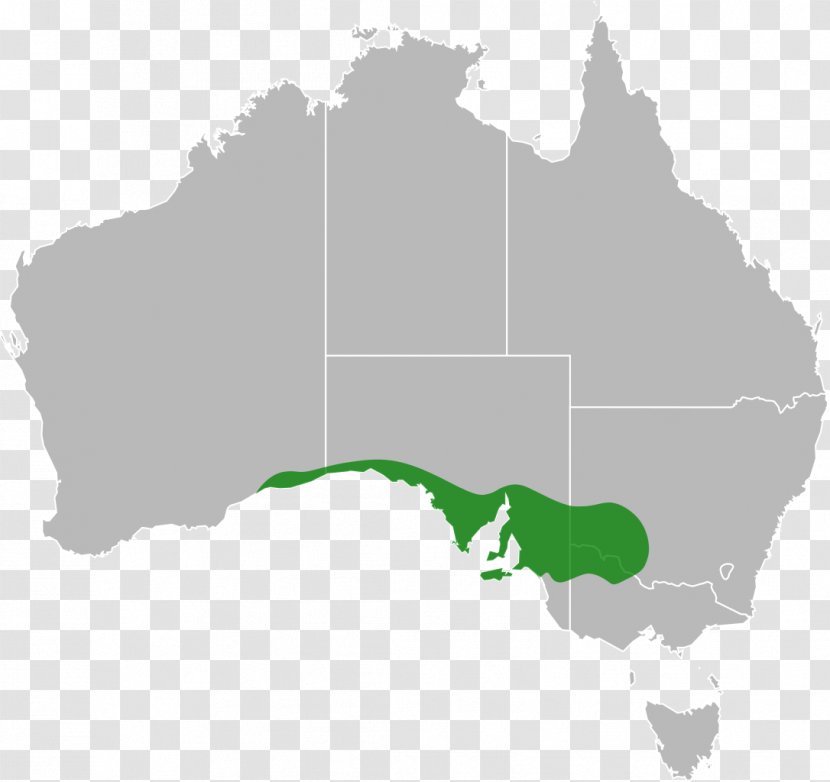 Australia Map Clip Art - Cartography Transparent PNG