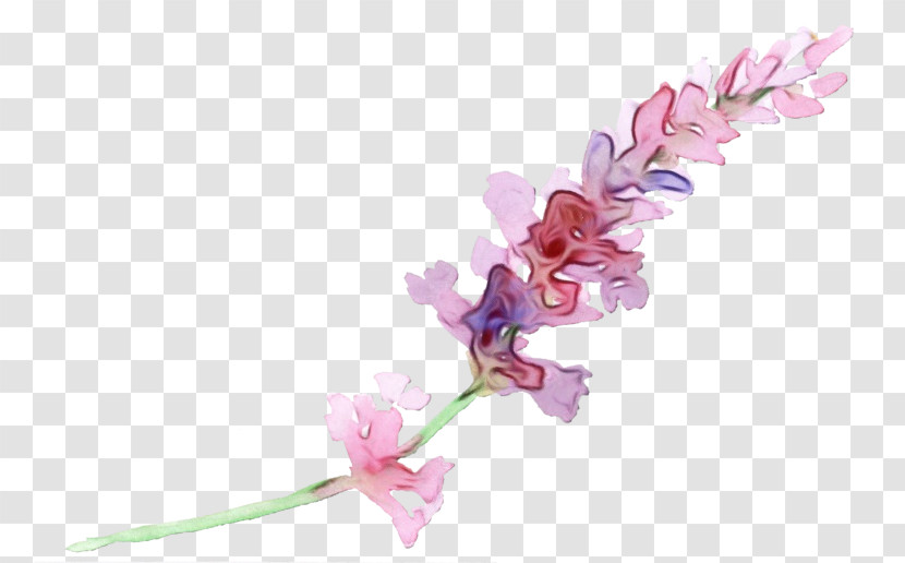 Cut Flowers Plant Stem Petal Flower Pink M Transparent PNG