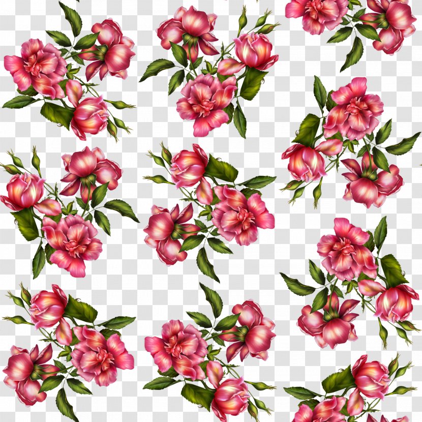 Flower Garden Roses Pink - Blossom Transparent PNG