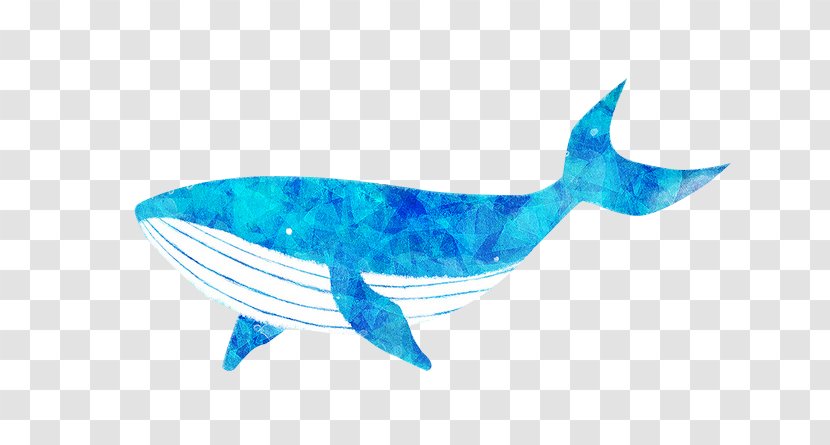 Blue Whale Cartoon - Color Transparent PNG