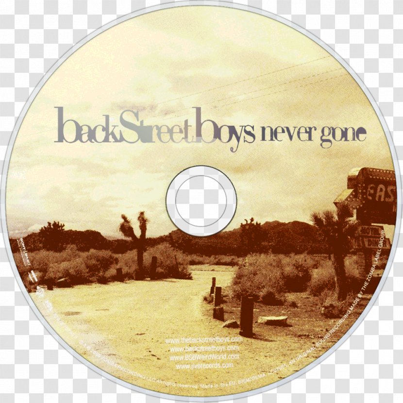 Never Gone Tour Backstreet Boys Compact Disc Backstreet's Back - Tree Transparent PNG