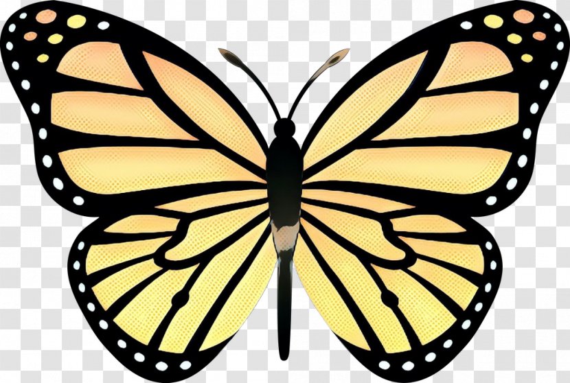 Monarch Butterfly Clip Art Drawing Cartoon Cabbage White - Large Transparent PNG