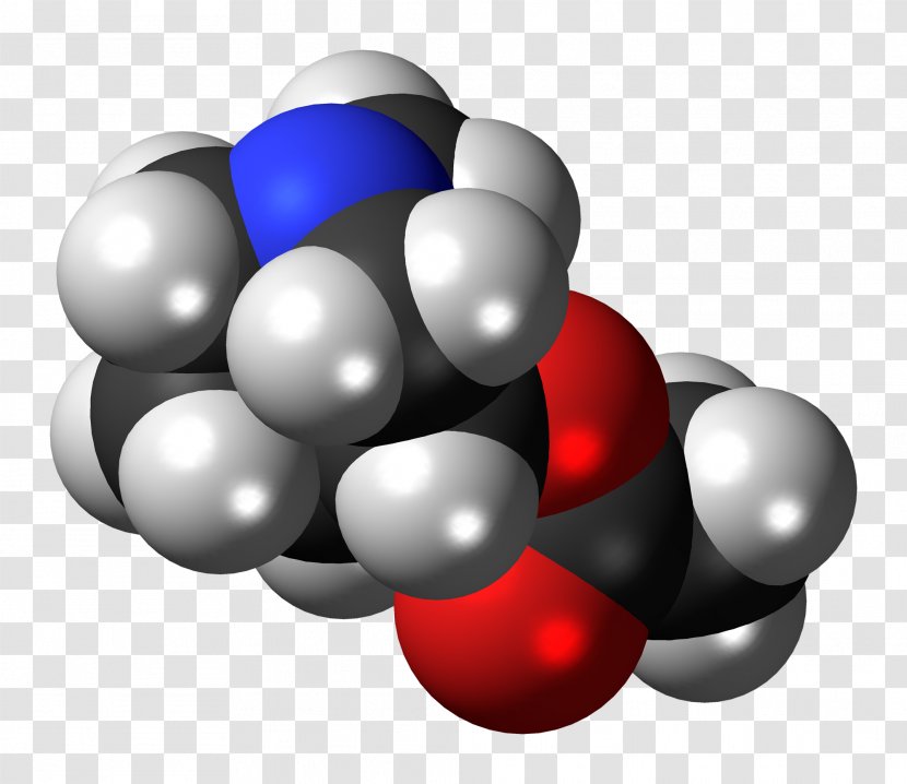 Molecule Aceclidine Structure Molecular Geometry - Muscle Transparent PNG
