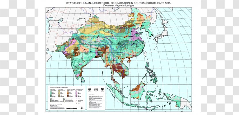 Organism Creativity The Arts - Atlas - South East Asia Map Transparent PNG