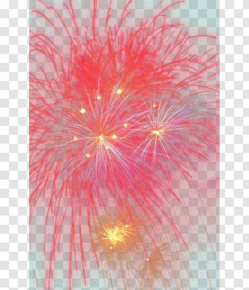Petal Sky Close-up - Pink - Fireworks Transparent PNG