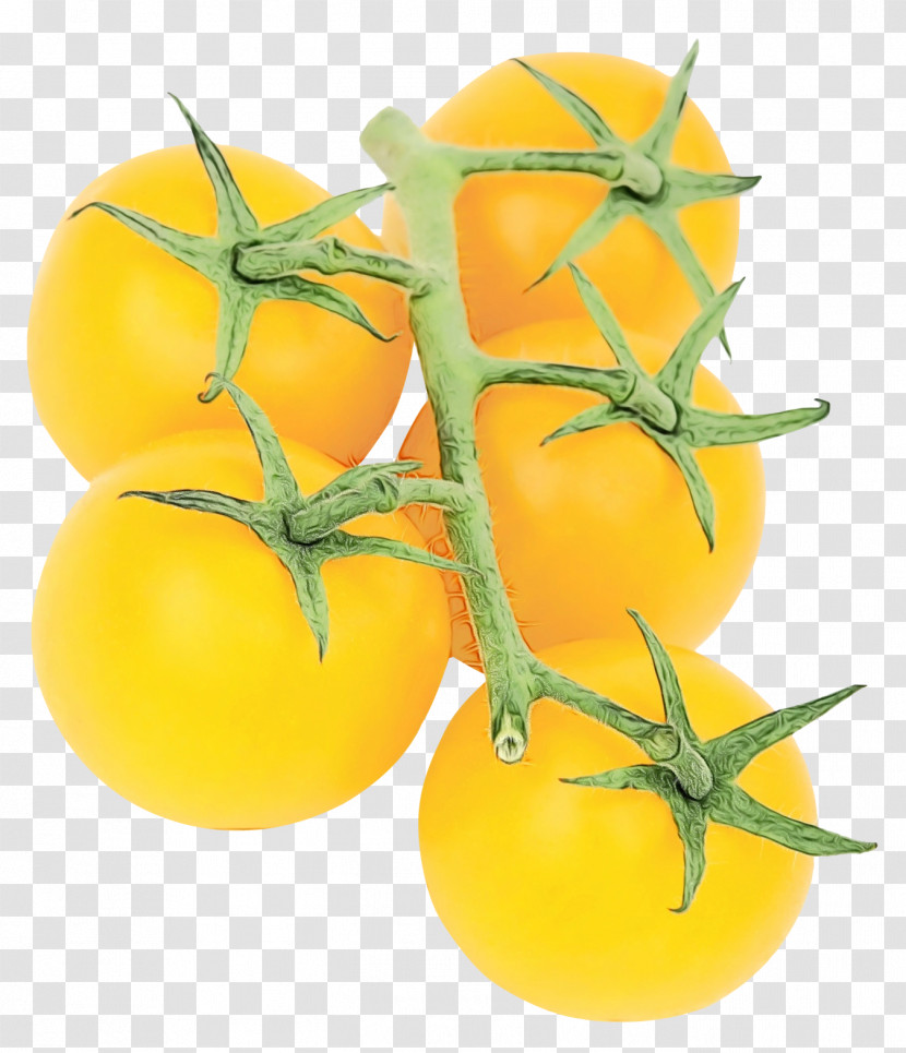 Tomato Transparent PNG