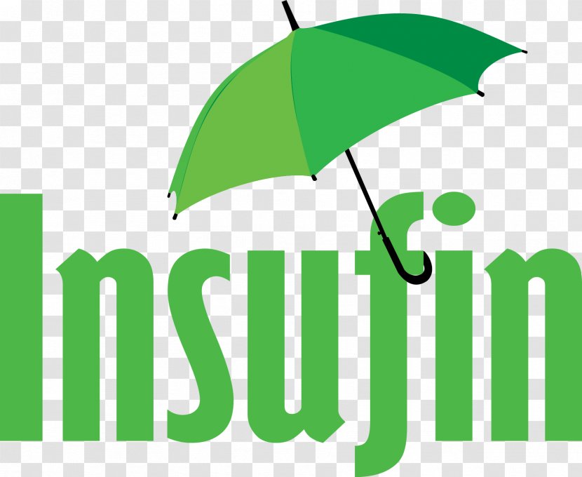 Logo Brand Insurance Insufin Inc / Sherkatebimeh Rahimian Font - Grass - Travel Visa Transparent PNG