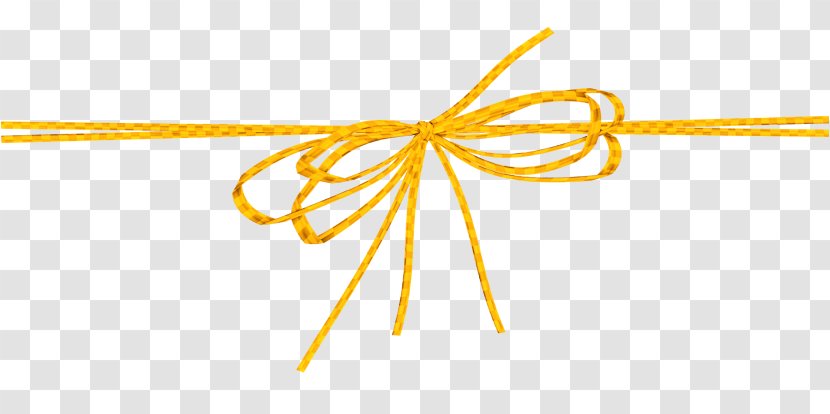 Rope Shoelace Knot Ribbon Yellow Red - Color - Dom Rep Transparent PNG