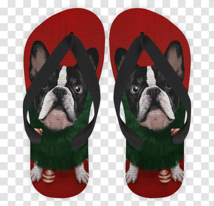 Boston Terrier Dog Breed Non-sporting Group Snout - Nonsporting - Victer Transparent PNG