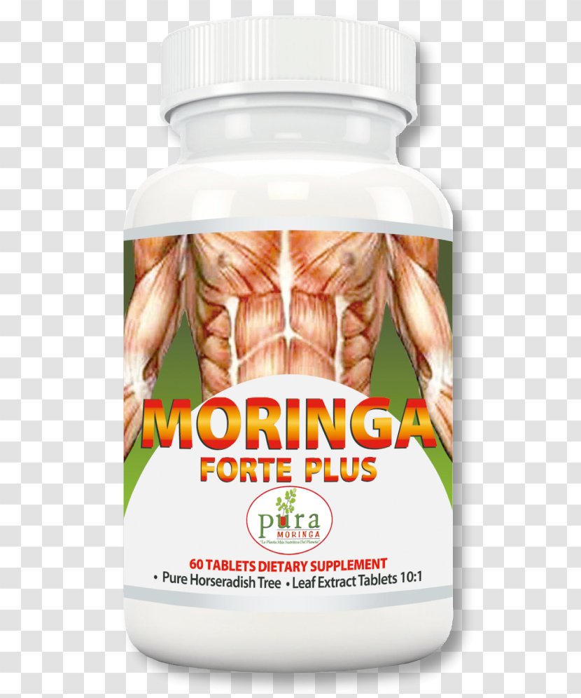 Dietary Supplement Garcinia Cambogia Drumstick Tree Weight Loss - Cholesterol - Moringa Leaves Transparent PNG