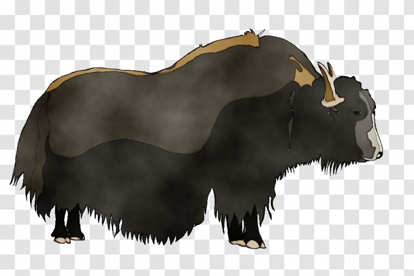 Yak Bovine Terrestrial Animal Wildlife Ox - Figure - Bull Transparent PNG