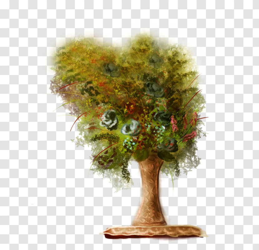 Tree Evergreen Forest Woody Plant Clip Art Transparent PNG