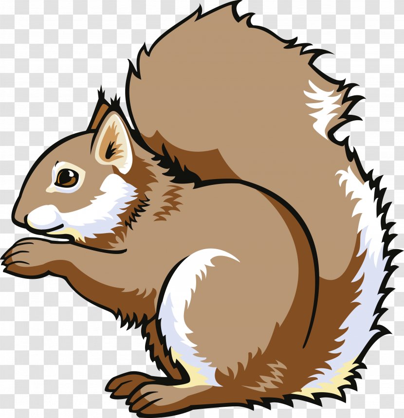 Eastern Chipmunk Tree Squirrels Clip Art - Squirrel Transparent PNG